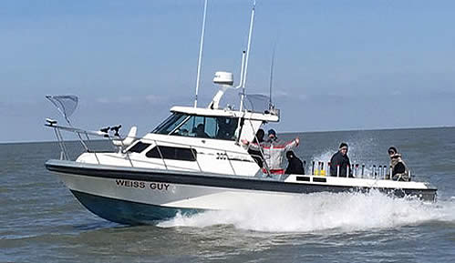 Weiss Guy Lake Erie Walleye