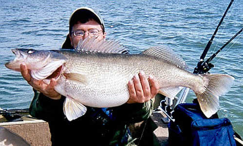 Read more about the article March Madness means TROPHY Walleye!