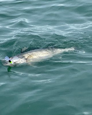 Larrys Fishing Adventures