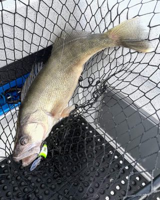 Larrys Fishing Adventures