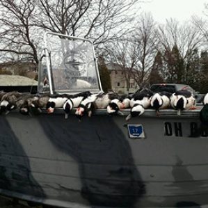 ducks-lake-erie-diver-duck-hunting