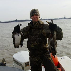 ducks-layout-mallard
