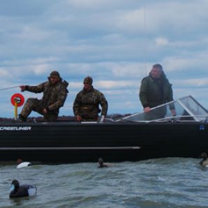 ducks-setting-decoys